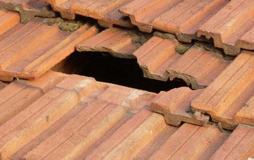 roof repair Newstead