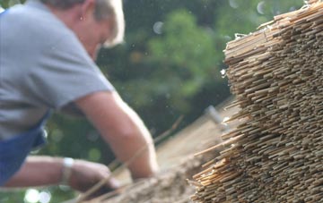 professional Newstead thatchers